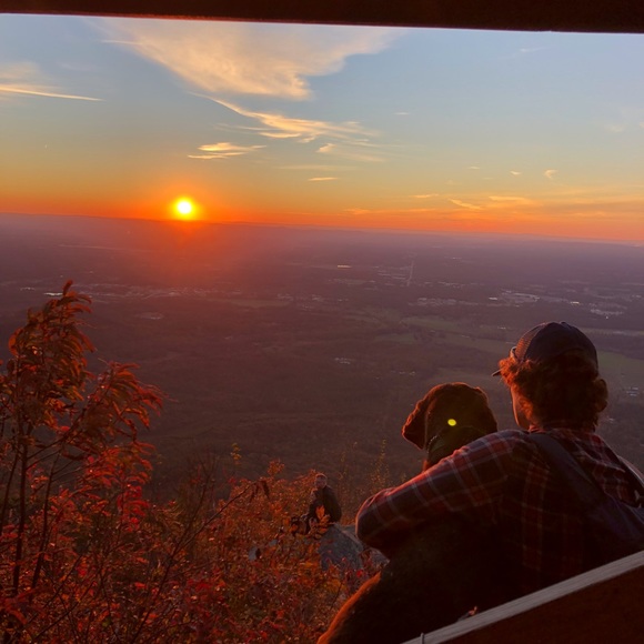 Meet your Posher, Benjamin - Picture 1 of 1